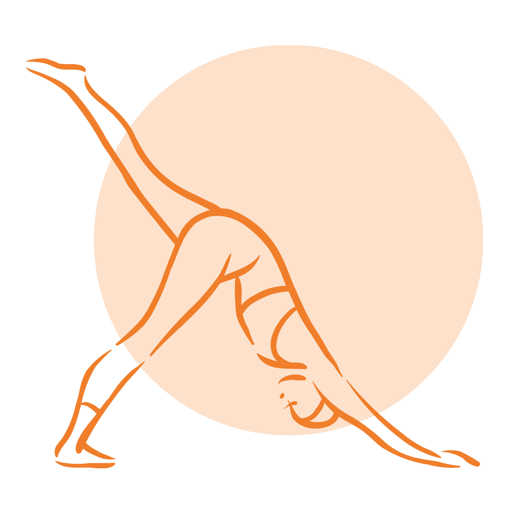 Renforcement musculaire