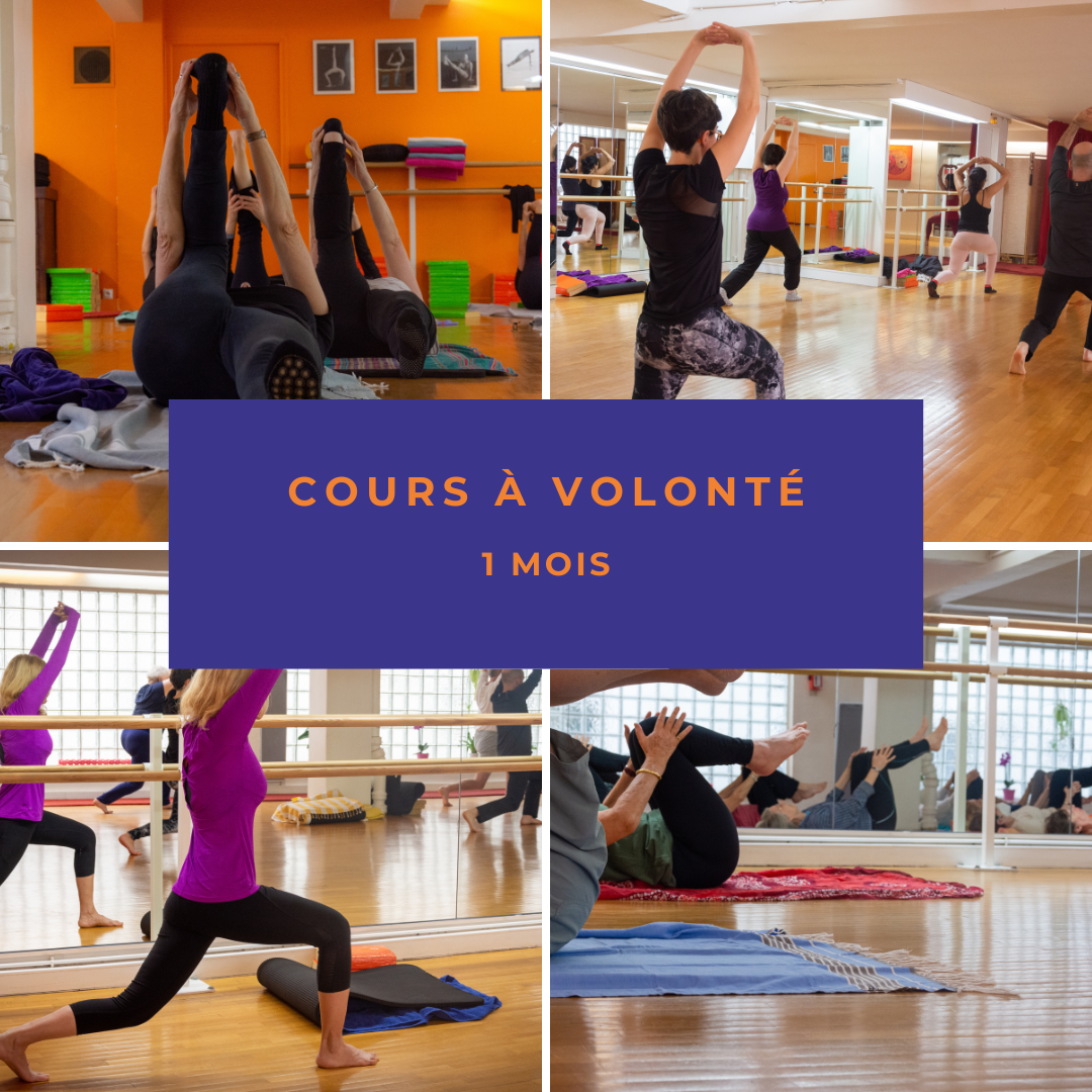 Cours à volonté 1 mois