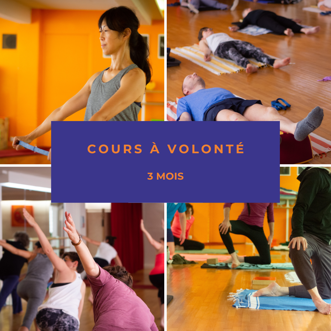 Cours à volonté 3 mois